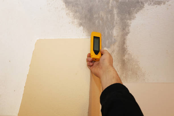 Best Dehumidification Services  in Glenwood, GA