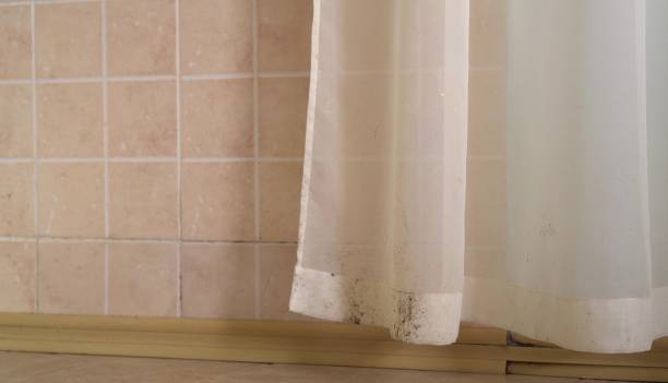 Best Mold Documentation for Insurance Claims  in Glenwood, GA