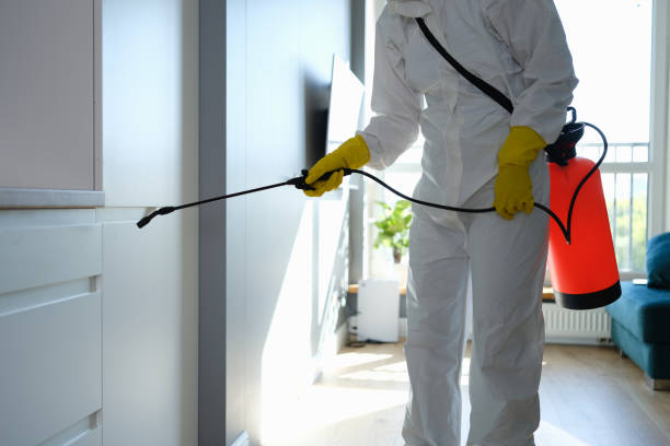 Best Mold Remediation for Vacation Homes  in Glenwood, GA