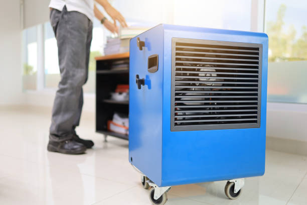 Best Indoor Air Quality Assessment  in Glenwood, GA