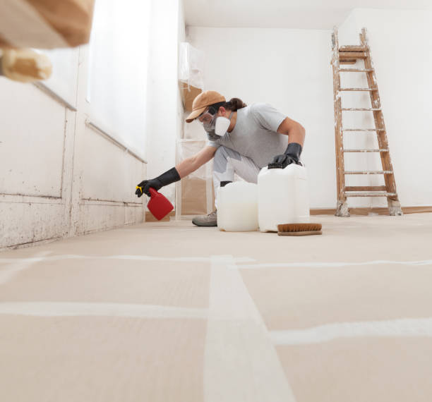 Best Commercial Mold Inspection  in Glenwood, GA